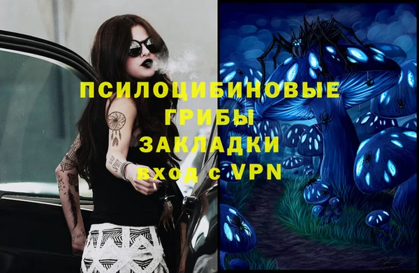 стаф Абинск