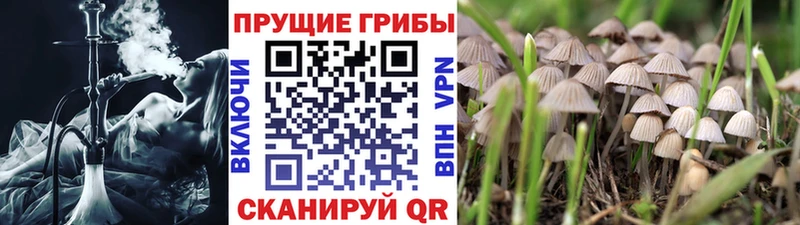 Галлюциногенные грибы мицелий  Николаевск-на-Амуре 